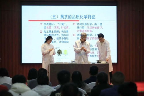 非遺活態(tài)傳承新篇章 黔北黃茶技藝選定黔東南代言人，推動(dòng)茶文化深度交流